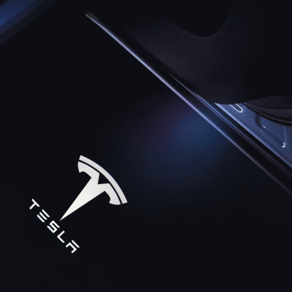 Tesla dynamic